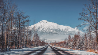 Snowy road mountains trees blue - a mountain in the background and trees free wallpaper