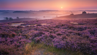 Sunset foggy hill path impressionist - a path free wallpaper