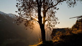 Tree sunshine mountains house autumn - a house in the foreground free wallpaper