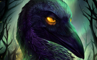 Yellow eyes owl forest night - its eye free wallpaper