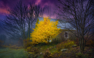 House yellow tree purple sky - a purple sky in the background free wallpaper for desktop