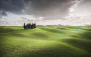 Green field trees cloudy sky - a green field free wallpaper for desktop