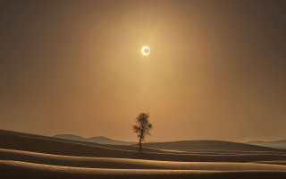 Lone tree desert sunset eclipse - the sun in the background free wallpaper for desktop