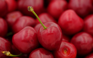 Cherry closeup blurry background macro - cherry free wallpaper for desktop