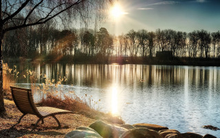 Lake shore bench tree bridge - a bench free wallpaper for desktop