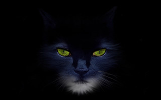 Black cat green eyes gothic 3 - spot free wallpaper