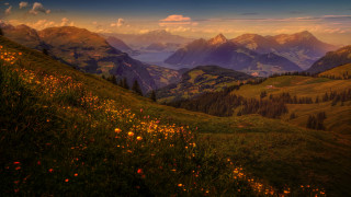 Mountain lake flowers autumn sunset - the distance free wallpaper for desktop