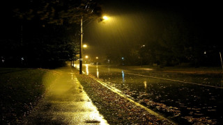 Wet street night streetlight pavement - a wet street free wallpaper