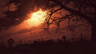 Cemetery sunset bats gothic matte - a cemetery free wallpaper for desktop