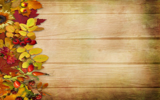 Wooden autumn leaves berries harvest - fall vibrancy free wallpaper
