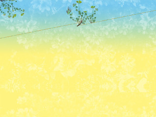 Bird wire yellow background glitch - glitch art free wallpaper