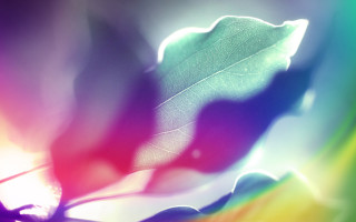 Leaf blurry rainbow background green - chromatic aberration free wallpaper