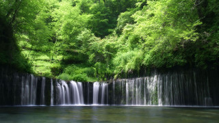 Waterfall forest stream trees nature - a waterfall in a forest free wallpaper