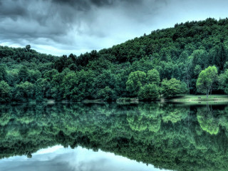 Lake forest cloudy sky background - a forest in the background free wallpaper