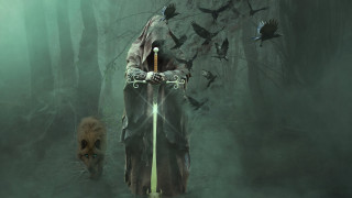 Hooded man sword forest dog - a sword in a forest free wallpaper