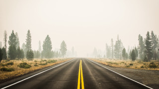 Long road yellow line field 2 - a yellow line free wallpaper