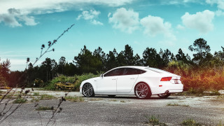 White car forest parking lot - a parking lot next free wallpaper