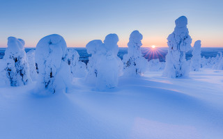 Snowy trees dawn sunset magical - magical realism free wallpaper