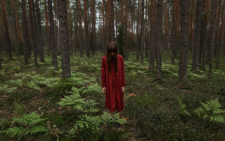 Woman red dress forest surreal - surreal photography free wallpaper