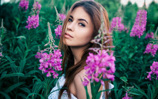 Woman purple flower field blurry 2 - portrait photography free wallpaper