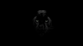 Black panther green eyes dark 3 - thing free wallpaper