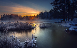 River sunset fog trees ice - ice free wallpaper for desktop