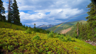 Rainbow over grassy hill ecological - ecological art free wallpaper