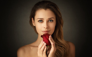 Anna maria barbara abesch portrait - a rose free wallpaper