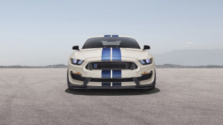 White blue mustang black stripe - hood hood free wallpaper