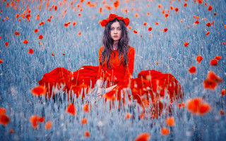 Woman red dress flower field 4 - a field of flowers free wallpaper for desktop