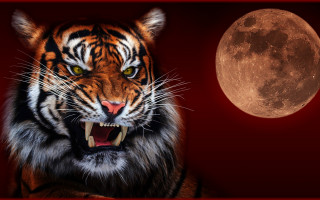 Tiger fullmoon gothic redframe digital - its mouth open free wallpaper for desktop