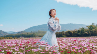 Woman flower field sky mountains - a field of flowers free wallpaper