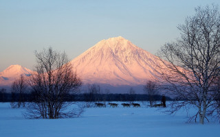Mountain forest lake cherry blossoms - a few animal free wallpaper