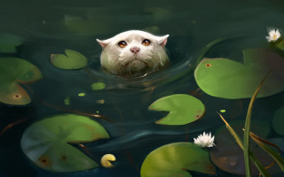 Cat swimming pond lilies fantasy - a pond free wallpaper