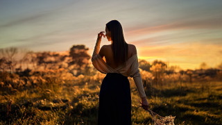 Woman dress field dog sunset - a long dress free wallpaper