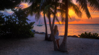 Woman palm tree beach sunset - daphne mcclure free wallpaper for desktop