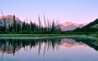 Lake mountains trees pink sky 2 - ansel adams free wallpaper