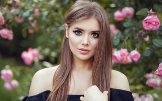 Elina karimova roses bokeh portrait - pink rose free wallpaper