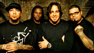 Men standing together stone wall - post grunge free wallpaper