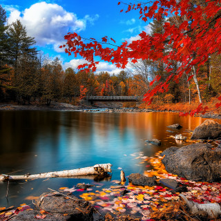 Autumn lake red leaves bridge - free autumn wallpaper for tablet