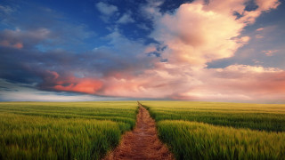 Dirt road field cloudy sky 3 - a dirt path free wallpaper