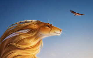 Lion bird flying sky storybook - the sky together free wallpaper