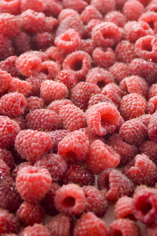 Raspberries closeup water droplets white - a plate free wallpaper for mobile