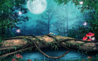 Forest moon mushrooms butterfly night - a painting of a forest free wallpaper for desktop