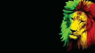 Lion red mane green mane - andrew boog faithfull free wallpaper