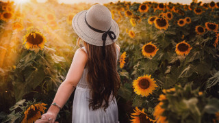 Girl hat sunflowers autumn fireworks - a girl in a hat free wallpaper
