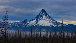 Mountain snow peak forests city - peak in the distance free wallpaper for desktop