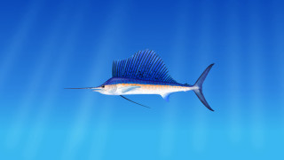 Blue sailfish ocean sunbeams photorealism - the water behind free wallpaper