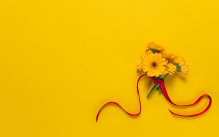 Yellow flower red ribbon gradient - the end free wallpaper for desktop