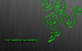 Green lizard black background games - a green lizard free wallpaper